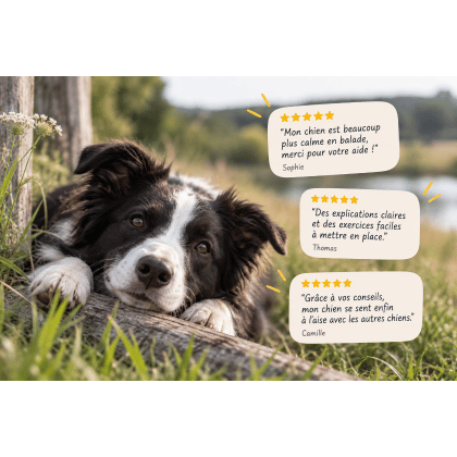 Comment demander des avis Google à ses clients ?